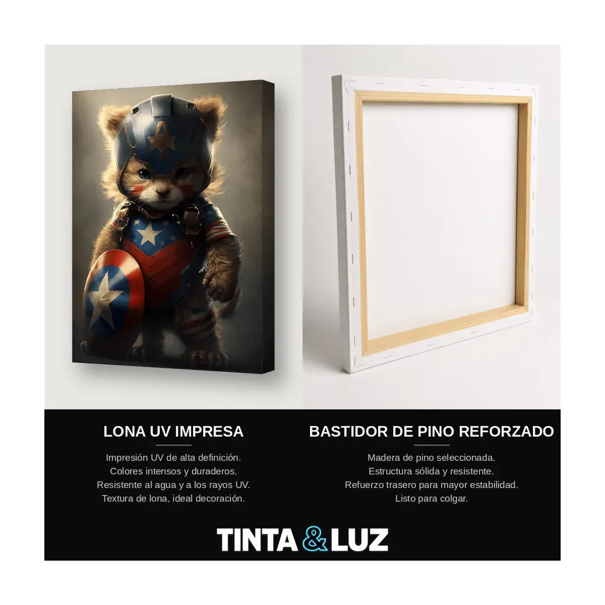 GATO CAPITÁN AMÉRICA