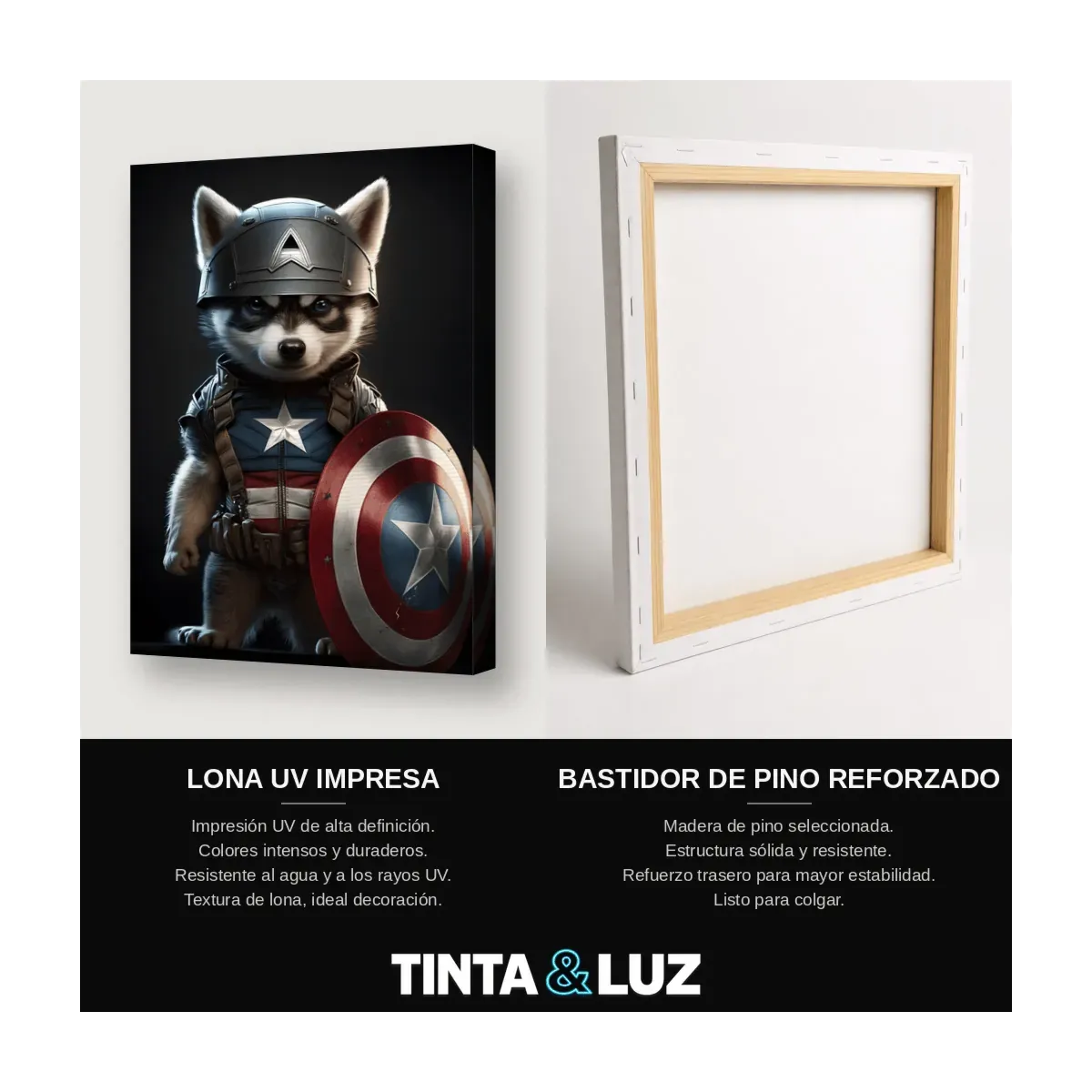 GATO CAPITÁN AMÉRICA II