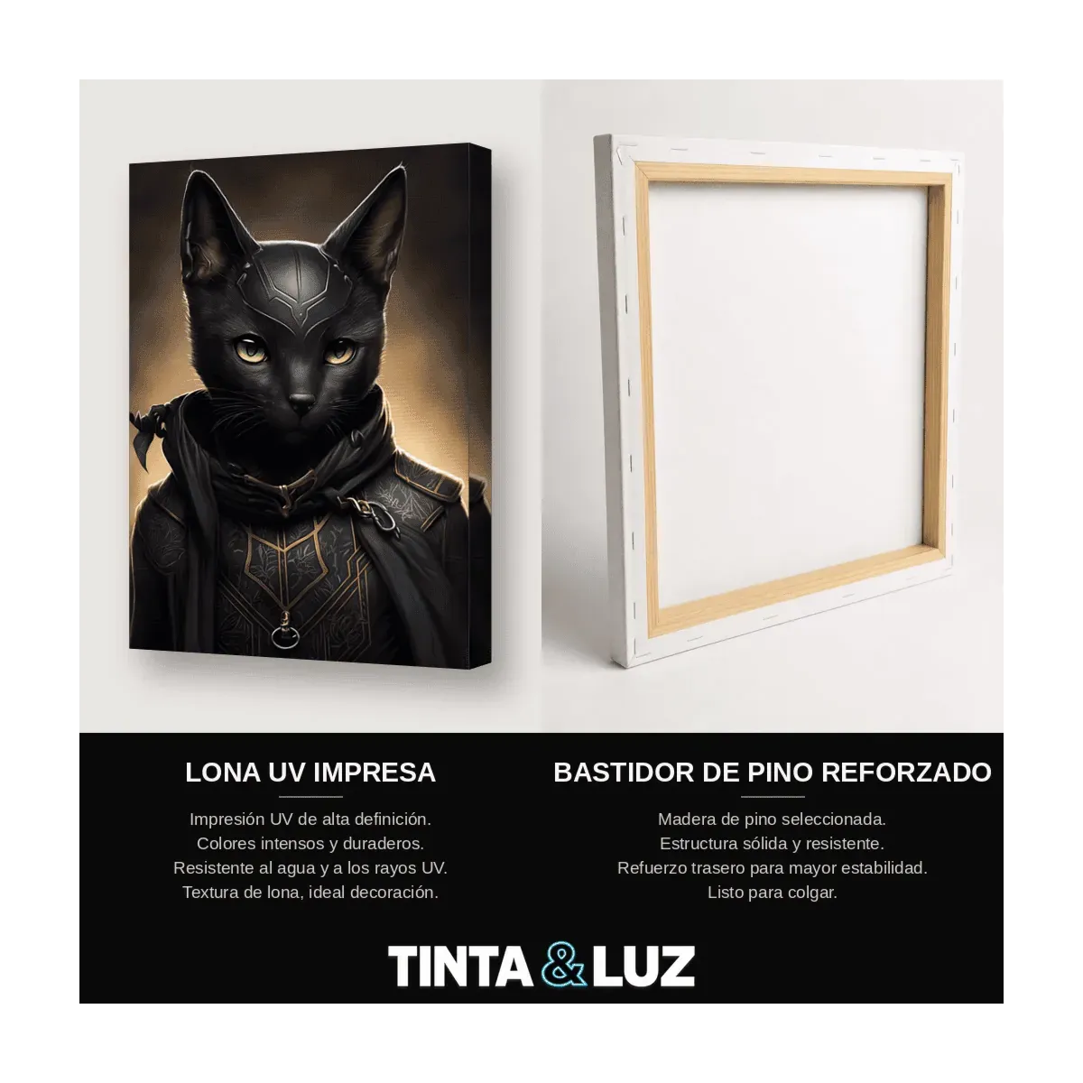 GATO NEGRO HÉROE