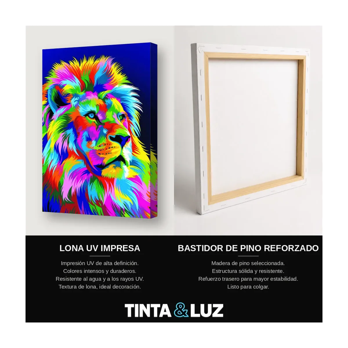 LEÓN MULTICOLOR