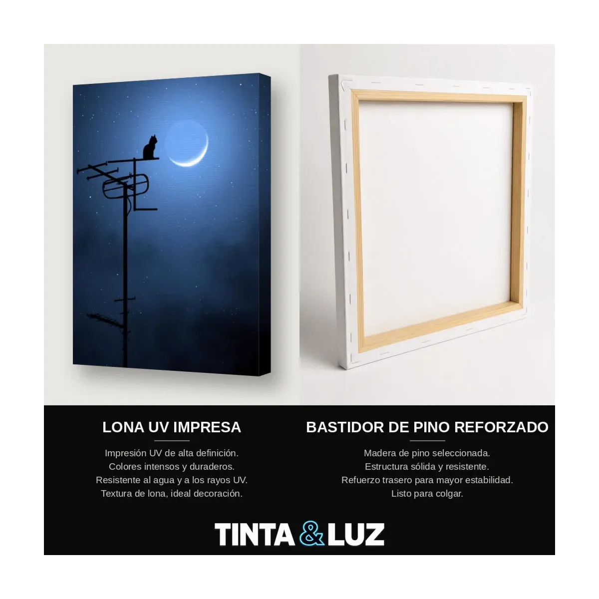 GATO Y LUNA FAROLA