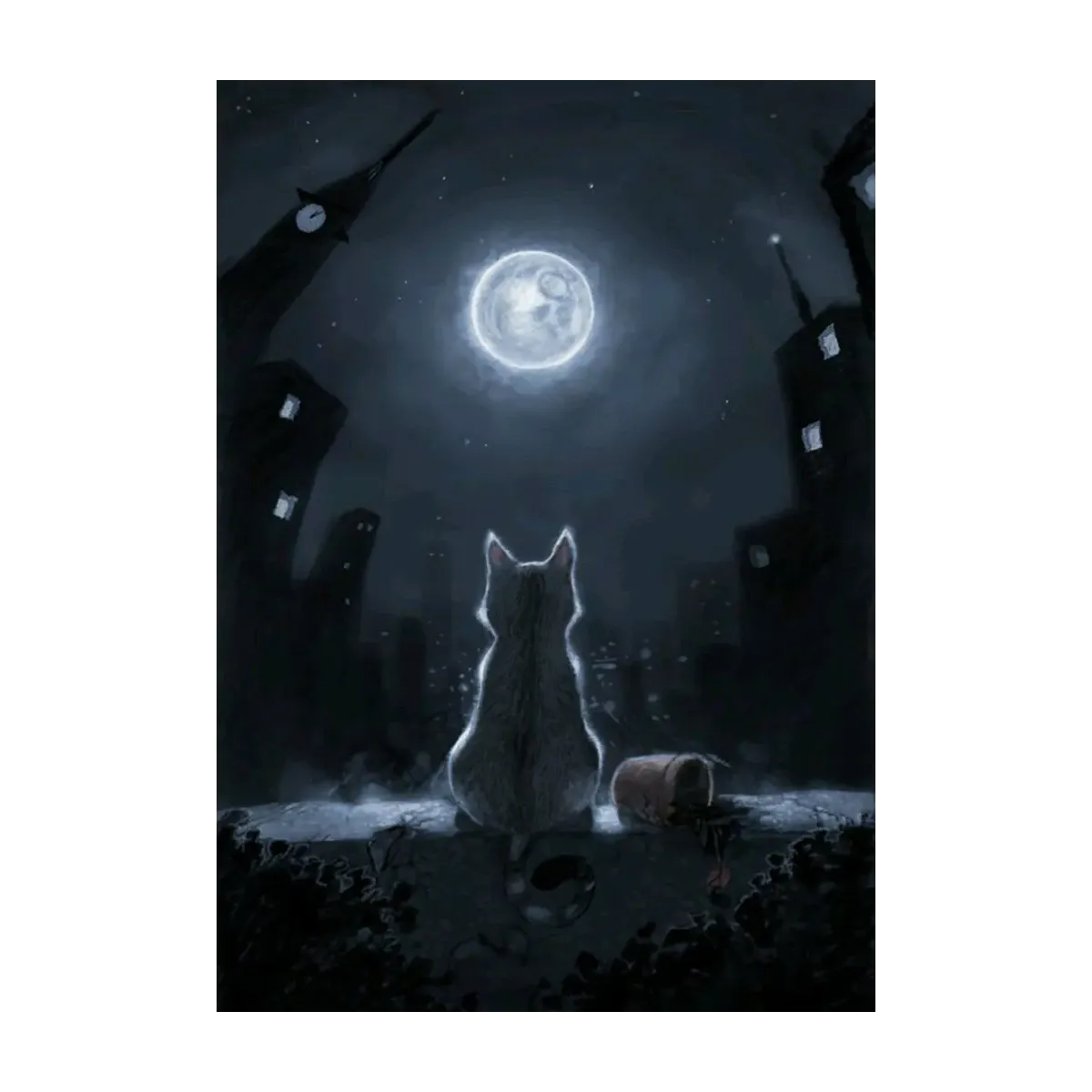 GATO Y LUNA LLENA
