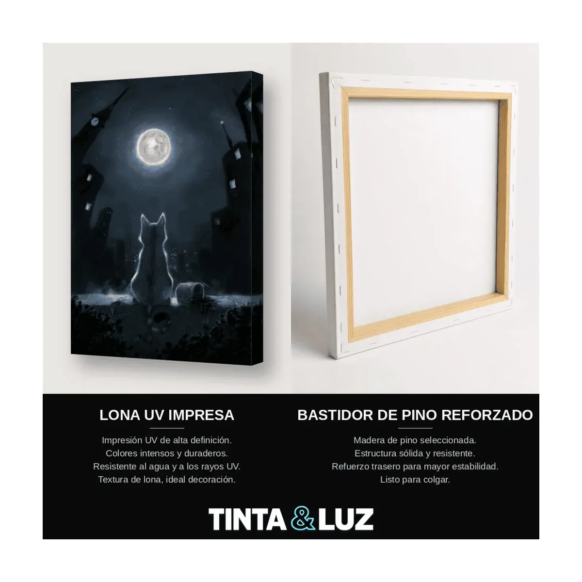 GATO Y LUNA LLENA