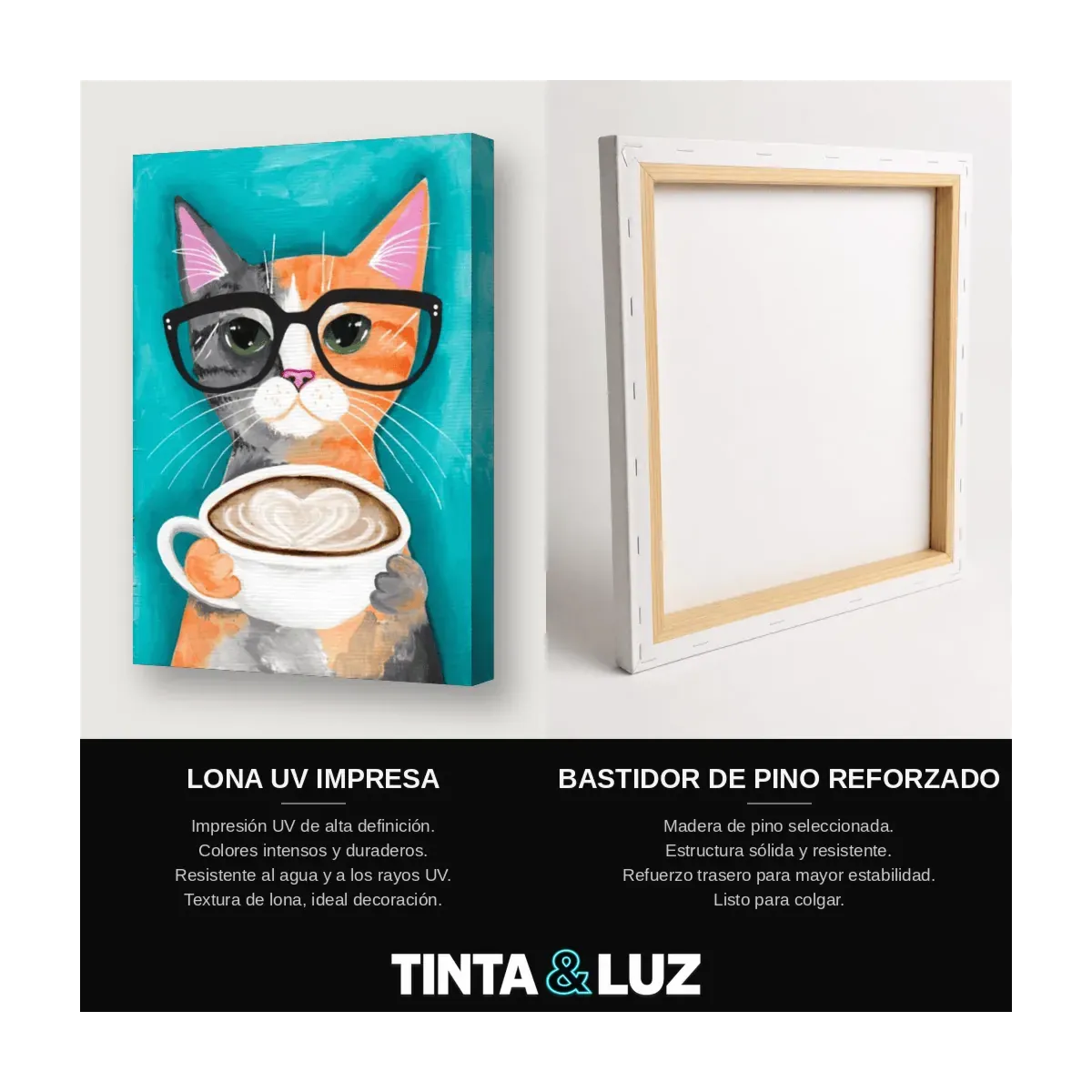 GATO CON GAFAS