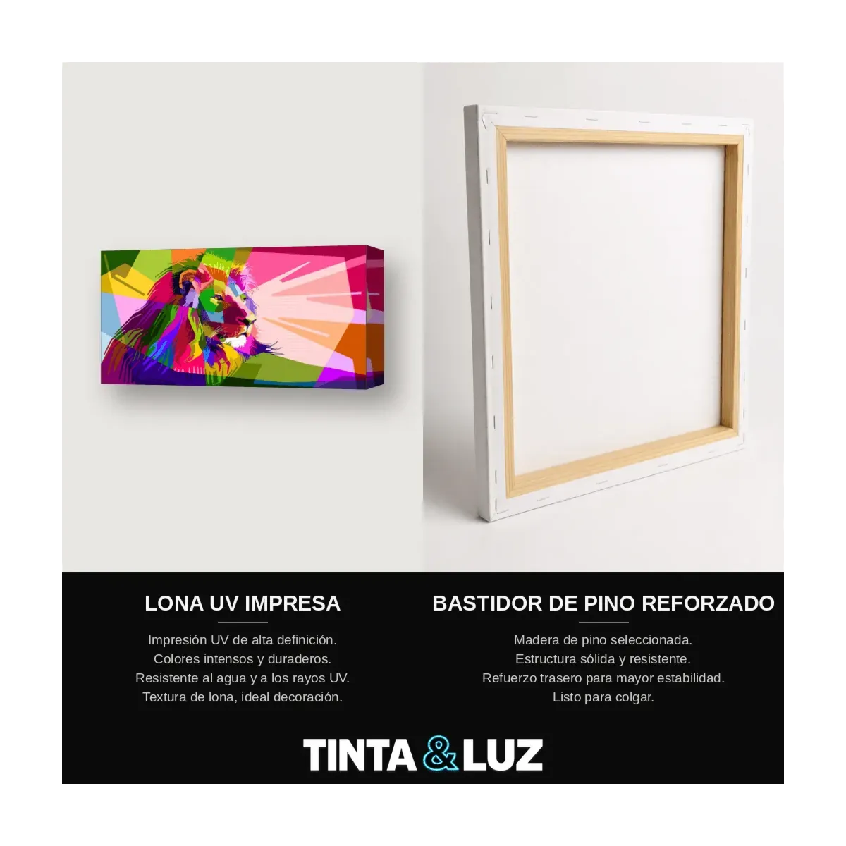 LEÓN MULTICOLOR