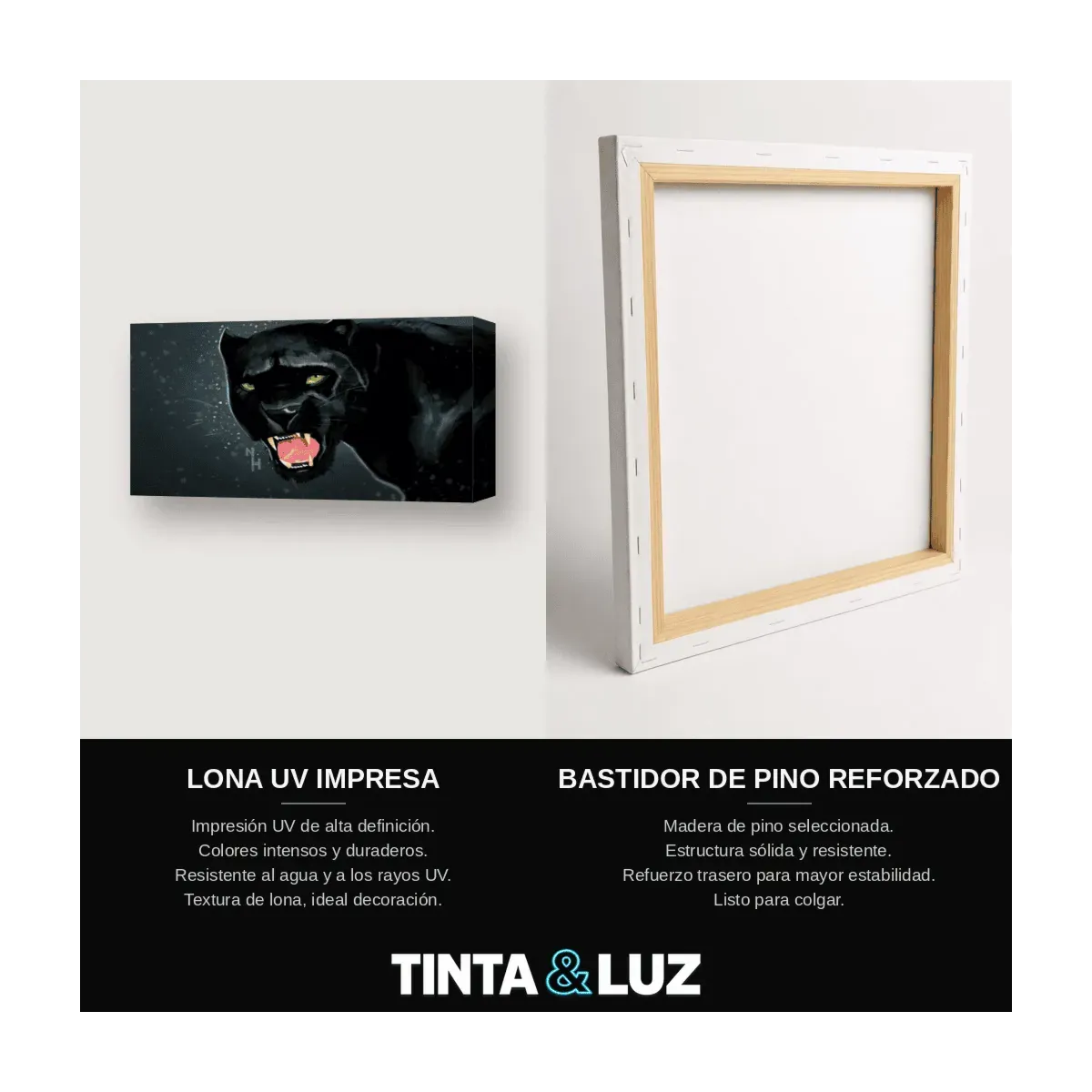PANTERA NEGRA