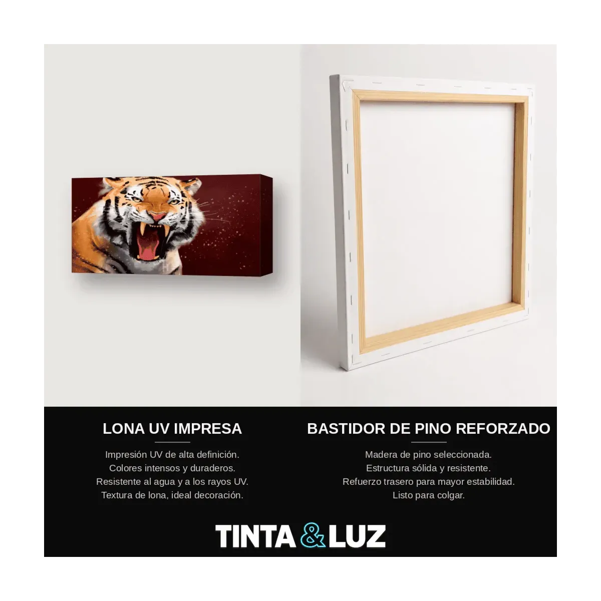 TIGRE COLOR