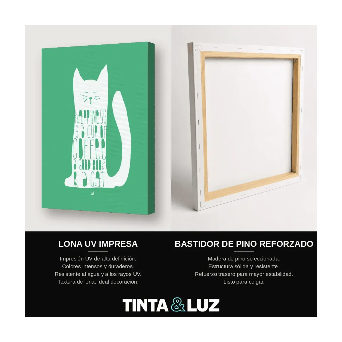 GATO LÍNEA AZUL