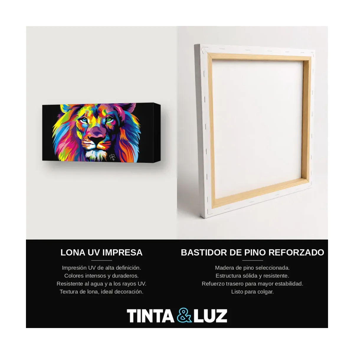 GATO VITRAL