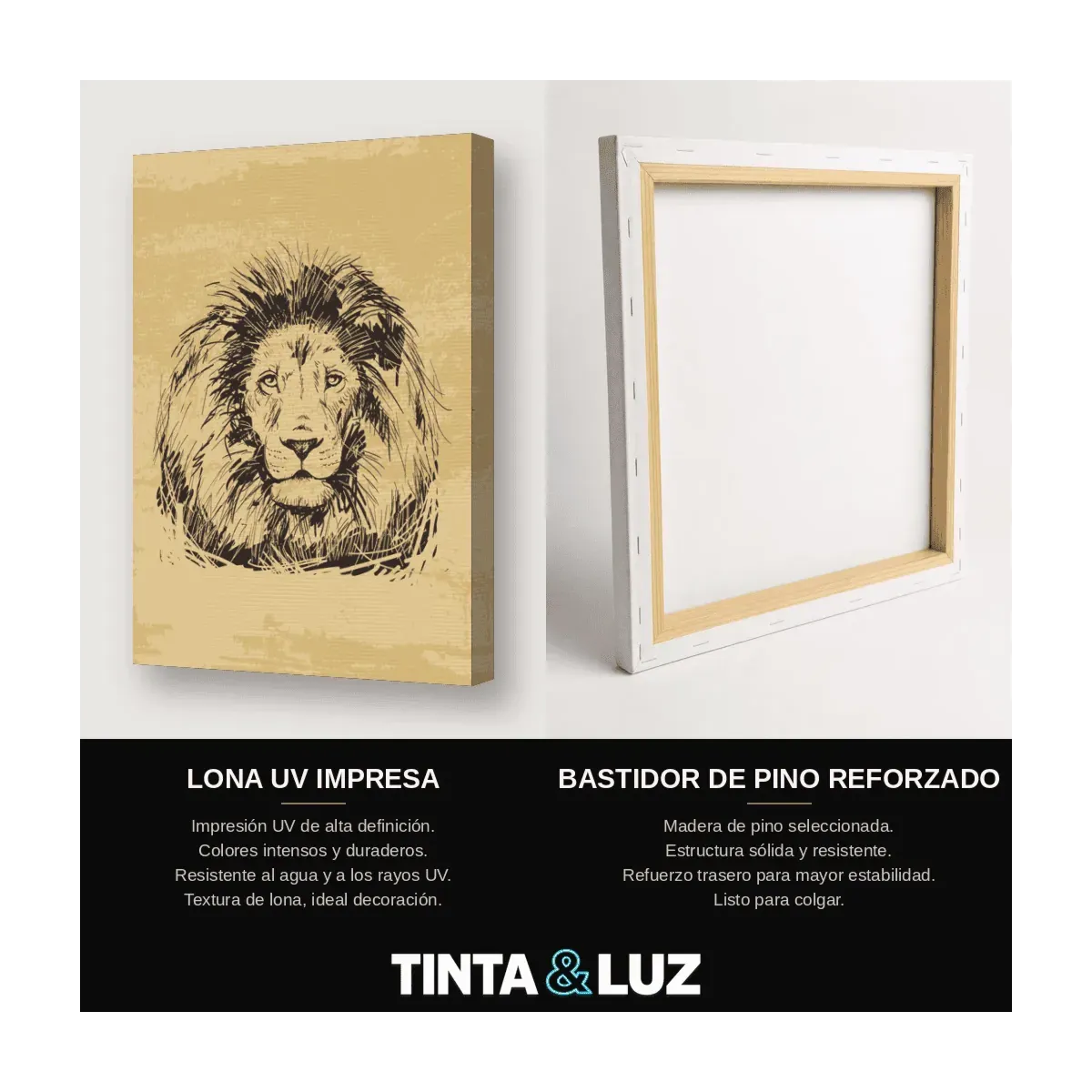 LEÓN A LÁPIZ