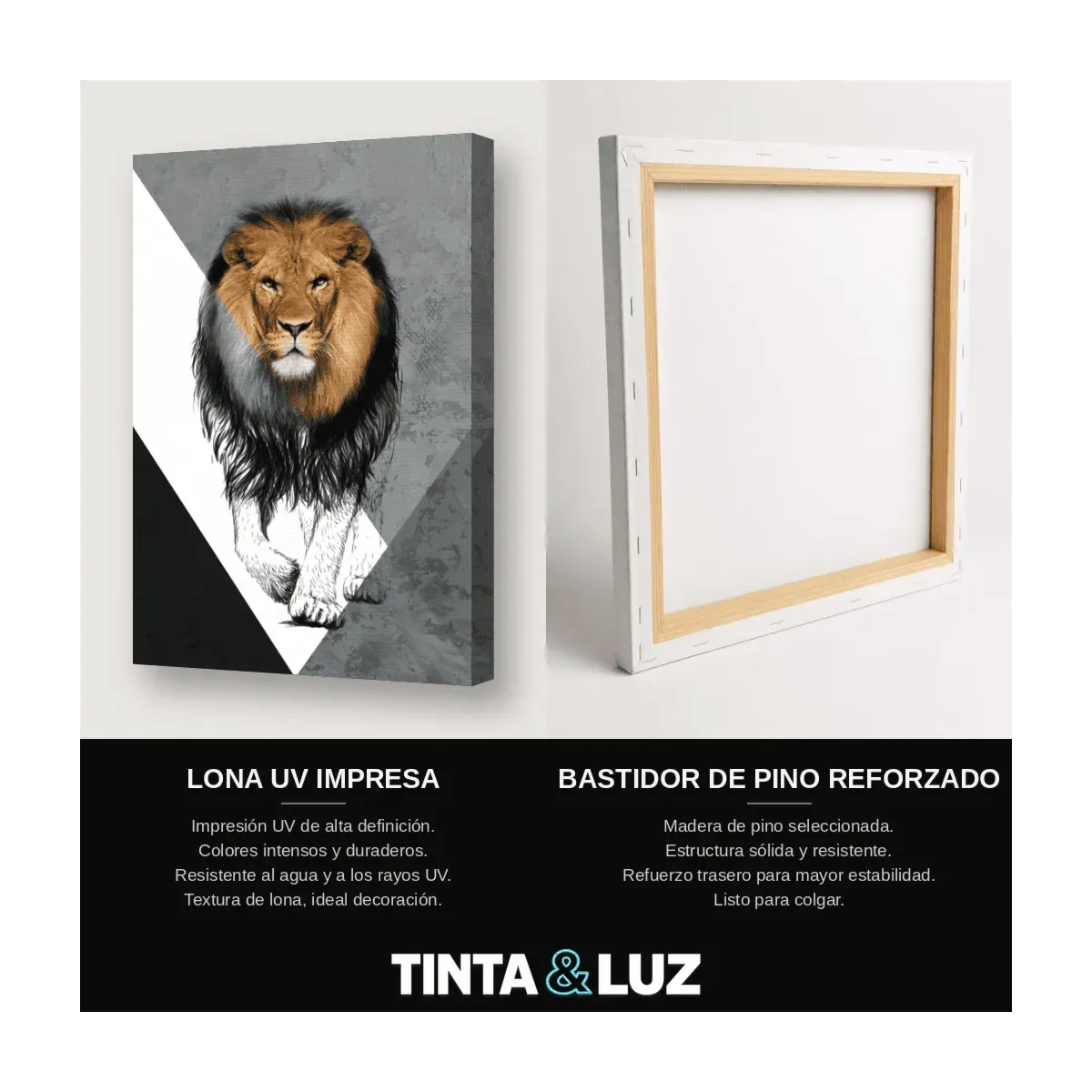 LEÓN A LÁPIZ II