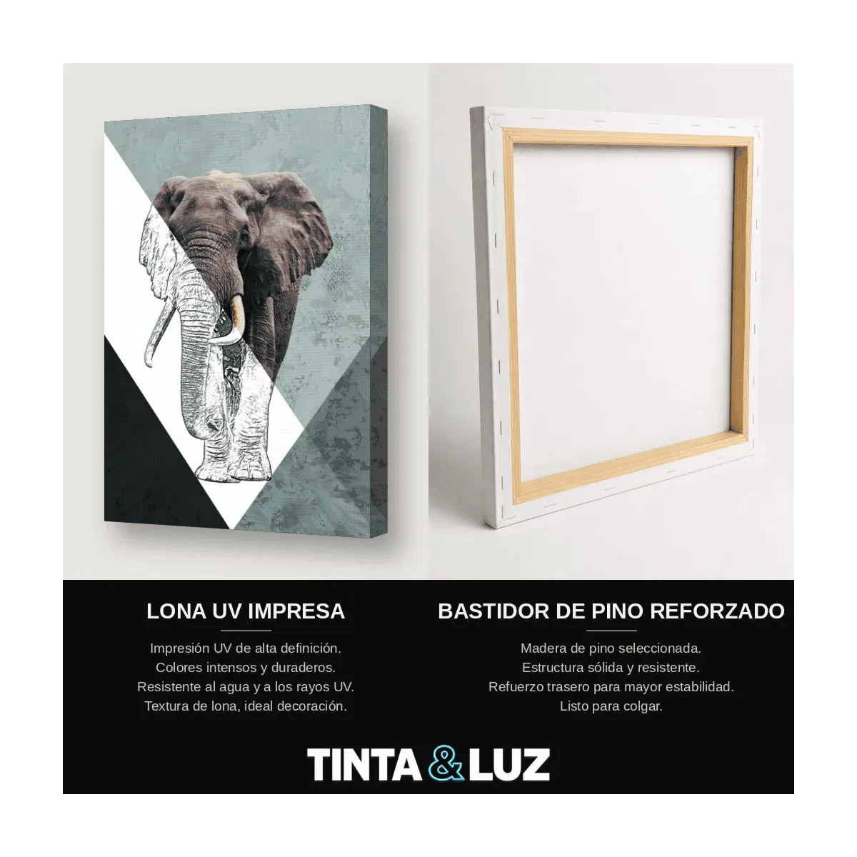 ELEFANTE A LÁPIZ