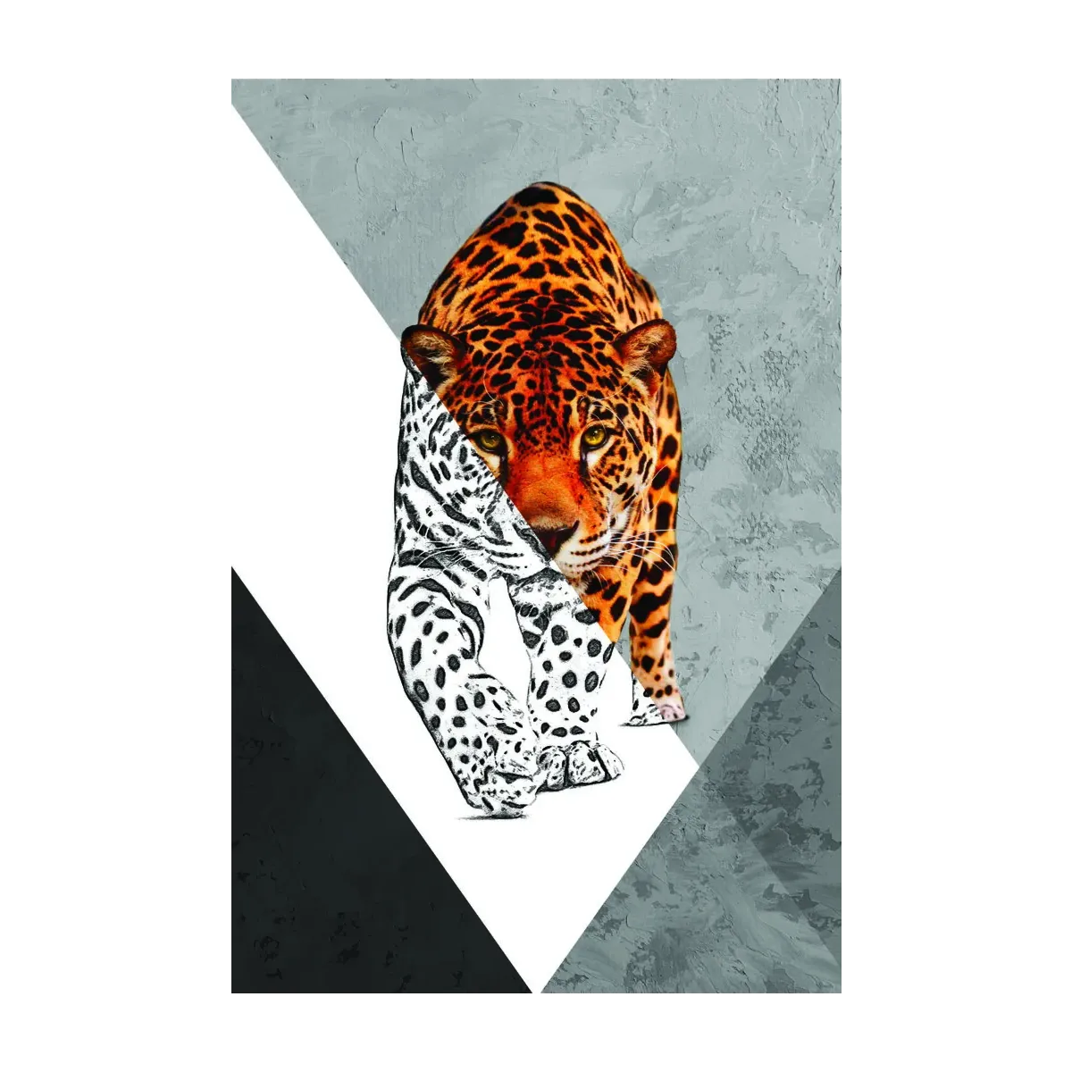 LEOPARDO ILUSTRADO