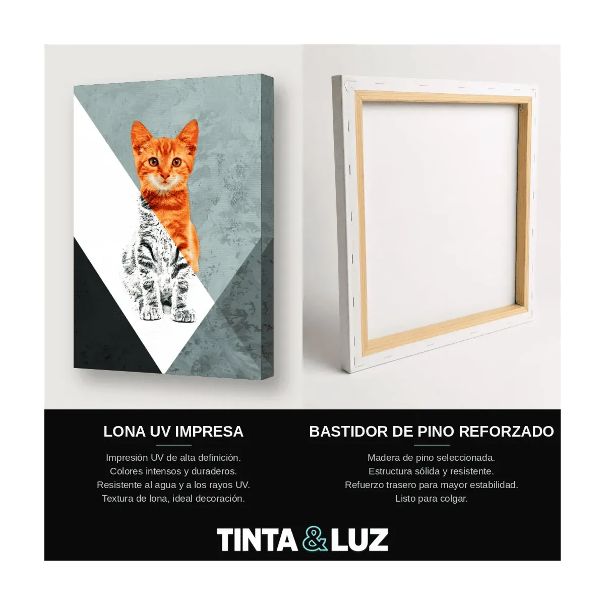 GATO NARANJA GEOMÉTRICO