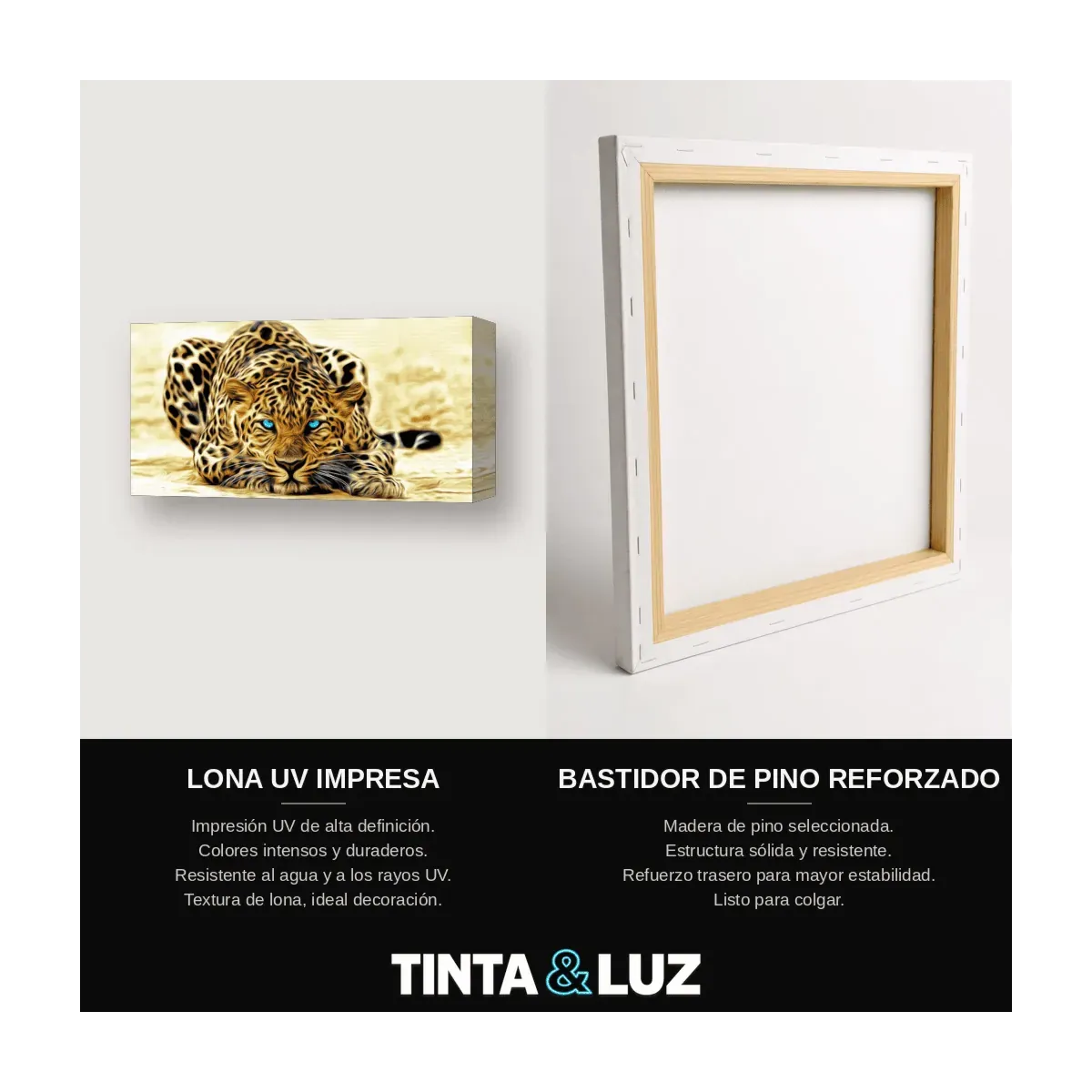 LEOPARDO DORADO