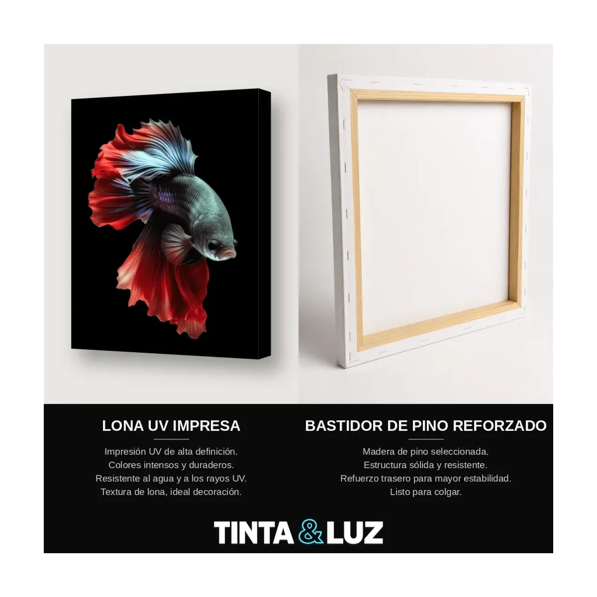 PEZ BETTA ROJO