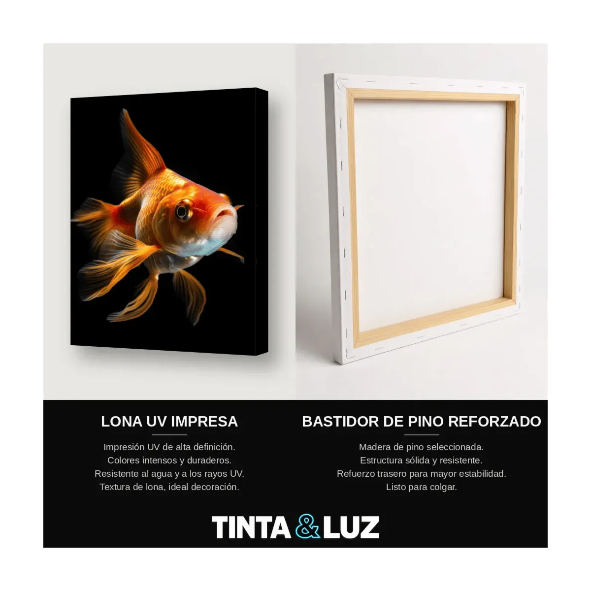 PEZ DORADO ROJO
