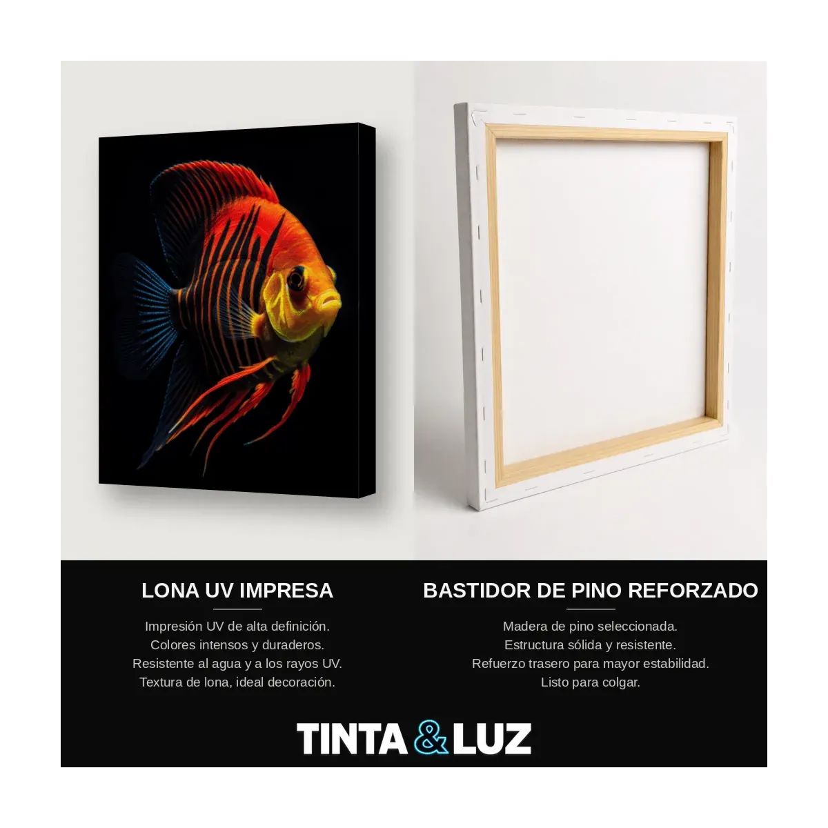 PEZ BETTA NARANJA