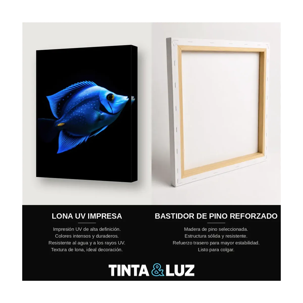 PEZ AZUL VIBRANTE