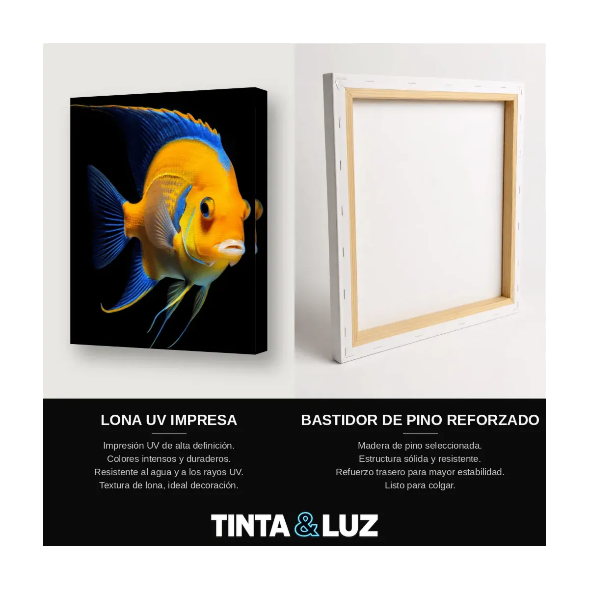 PEZ ÁNGEL AMARILLO