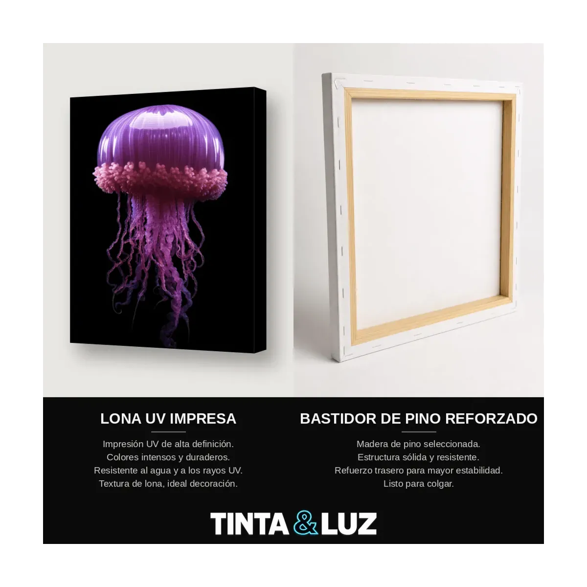 MEDUSA VIOLETA