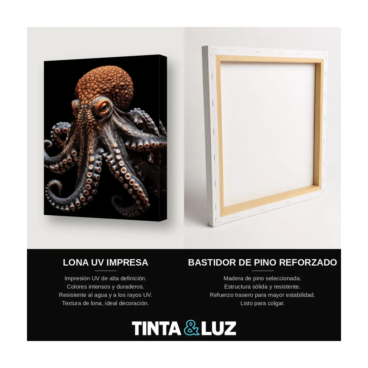 PULPO GIGANTE