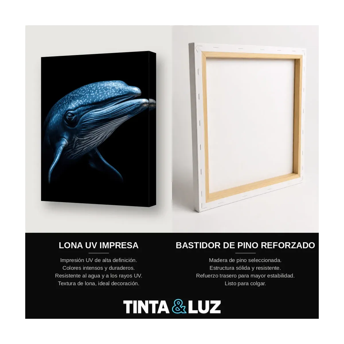 DELFÍN AZUL