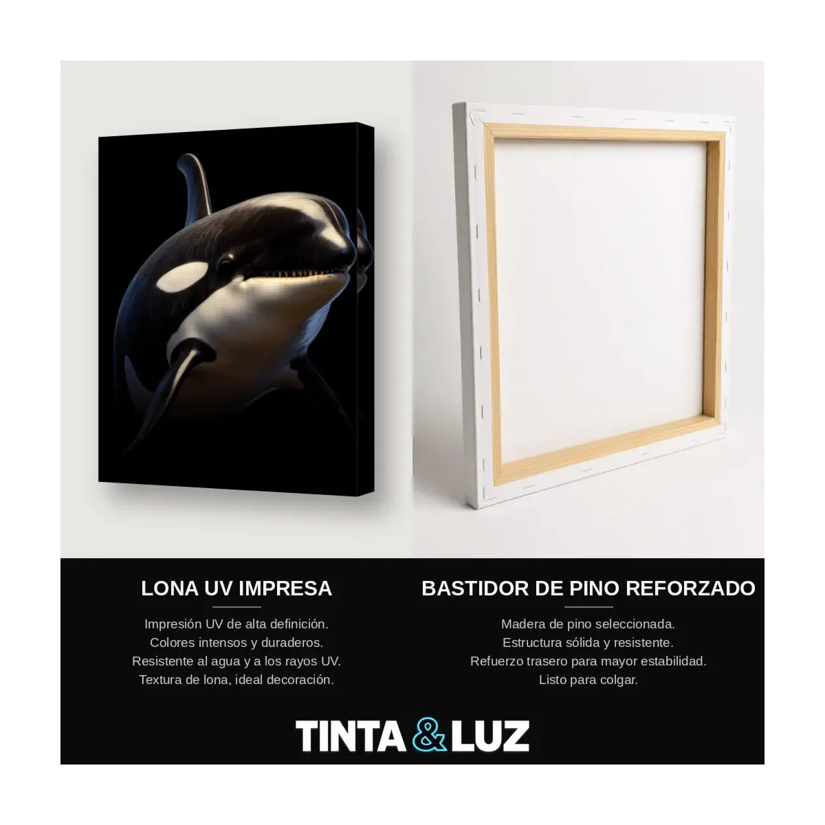 ORCA NEGRA