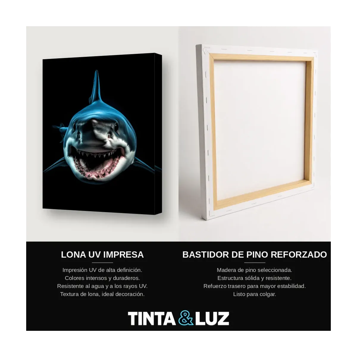 TIBURÓN BLANCO