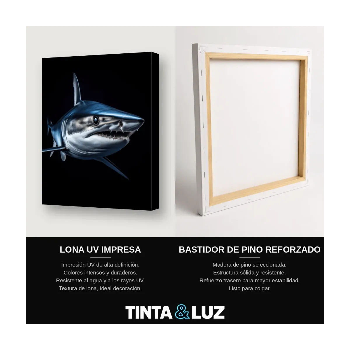 TIBURÓN AZUL