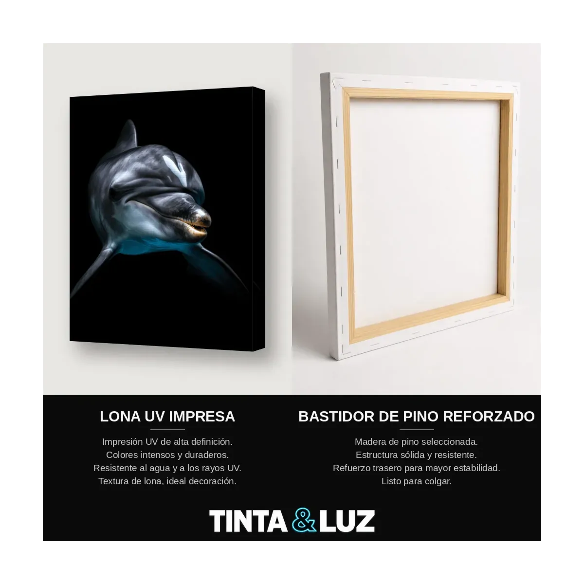 DELFÍN BRILLANTE
