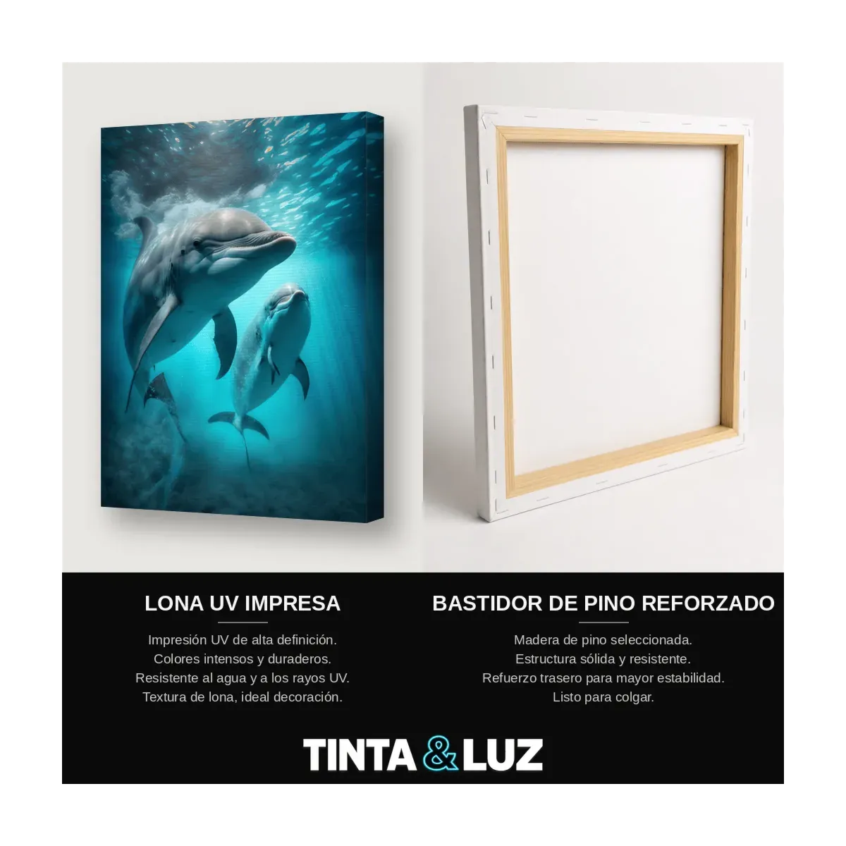 DELFINES SUBMARINOS