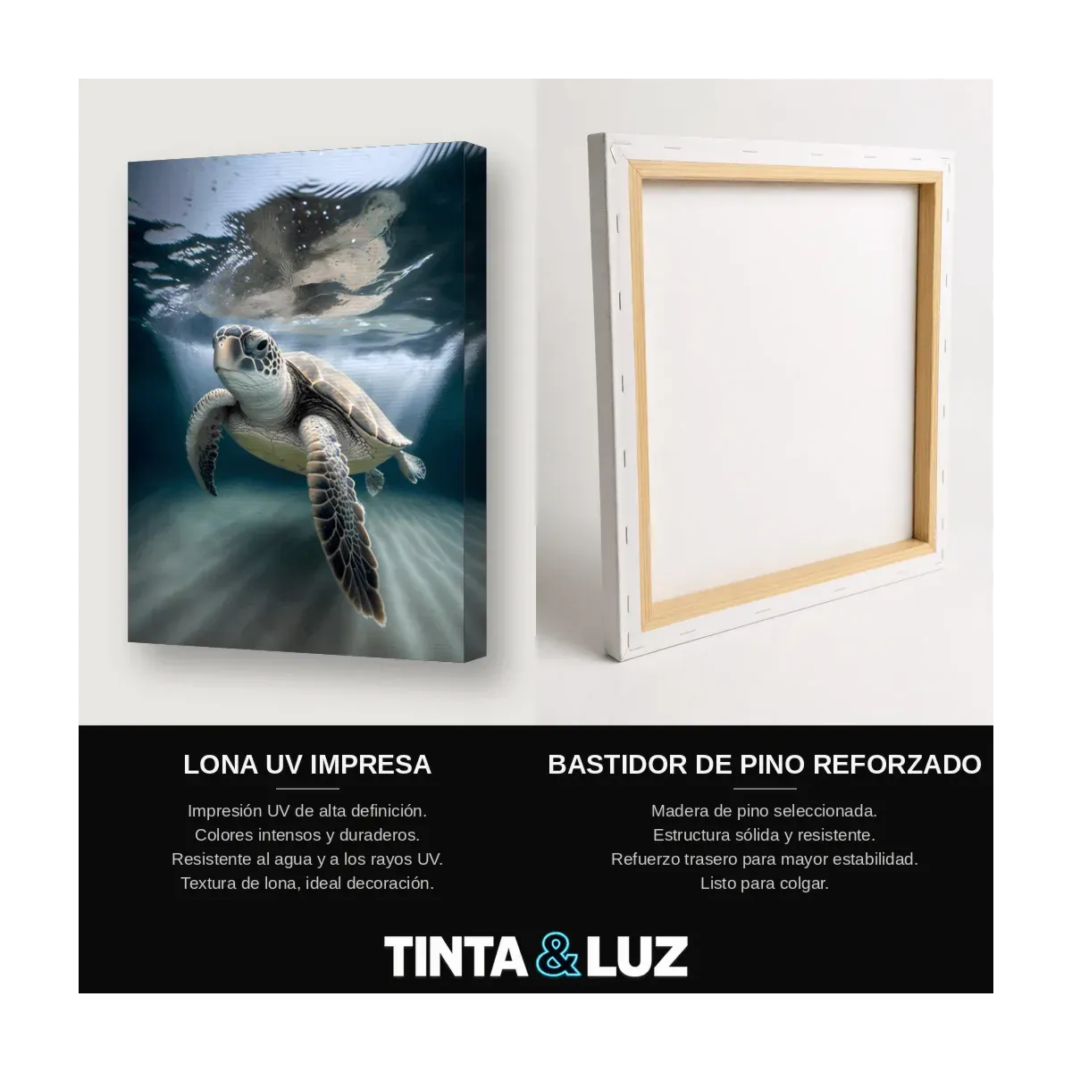 TORTUGA NADANDO