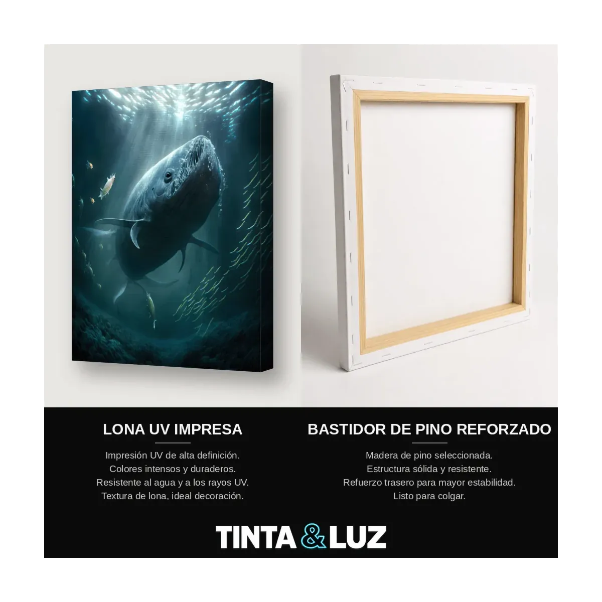 BALLENA Y BUZOS