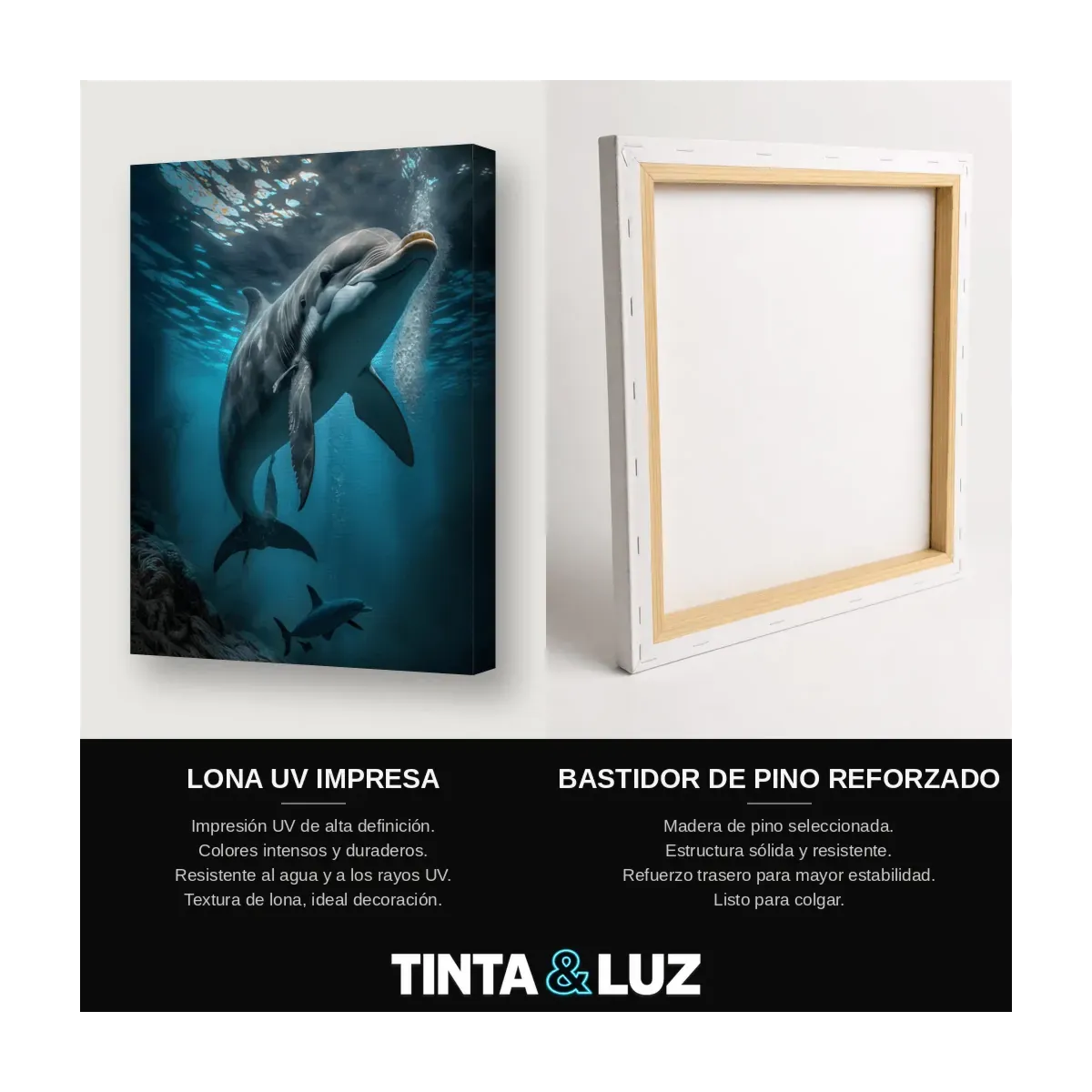 BALLENA ASCENDENTE