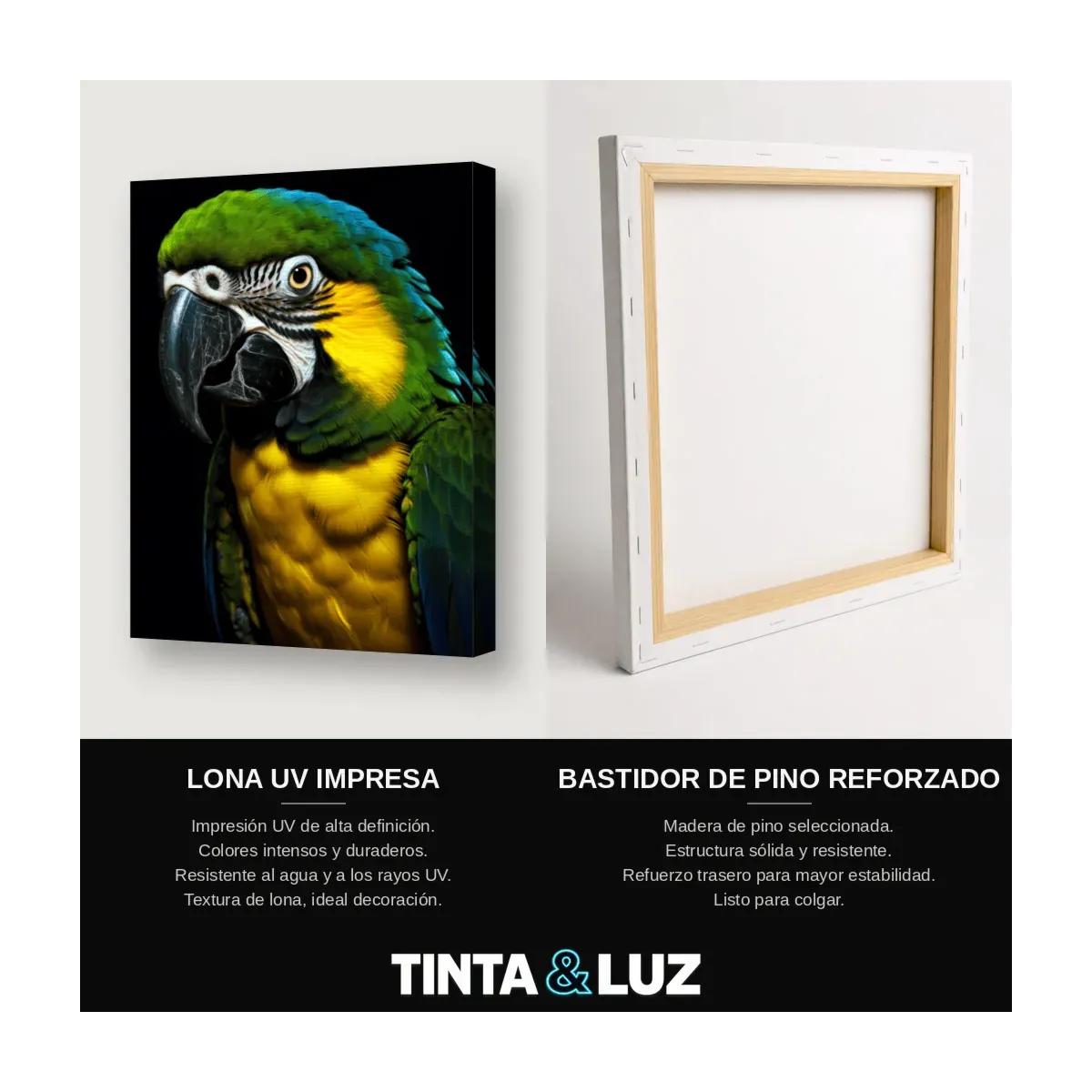 GUACAMAYO AMARILLO