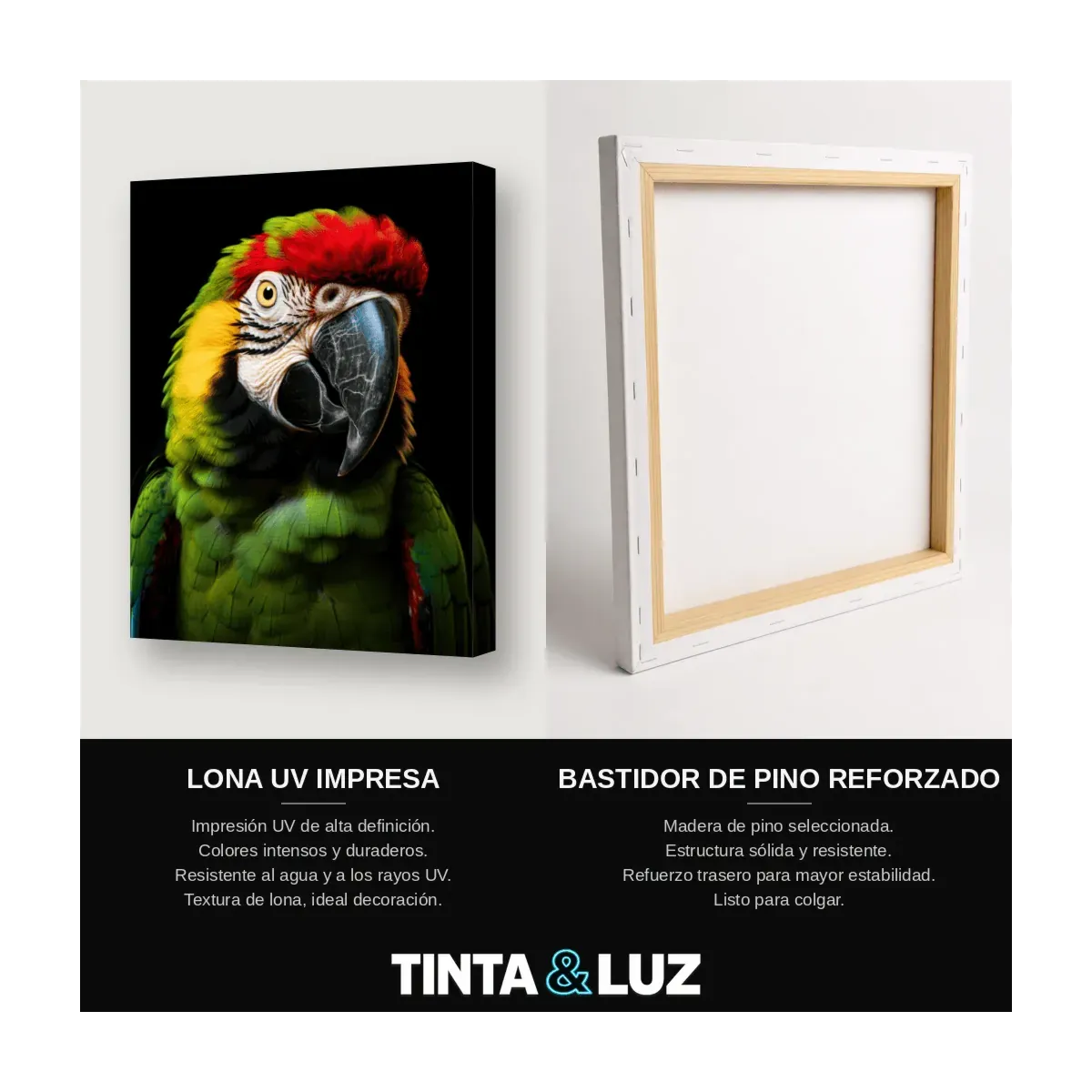 GUACAMAYO VERDE