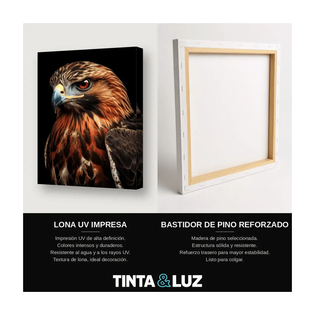 ÁGUILA REAL