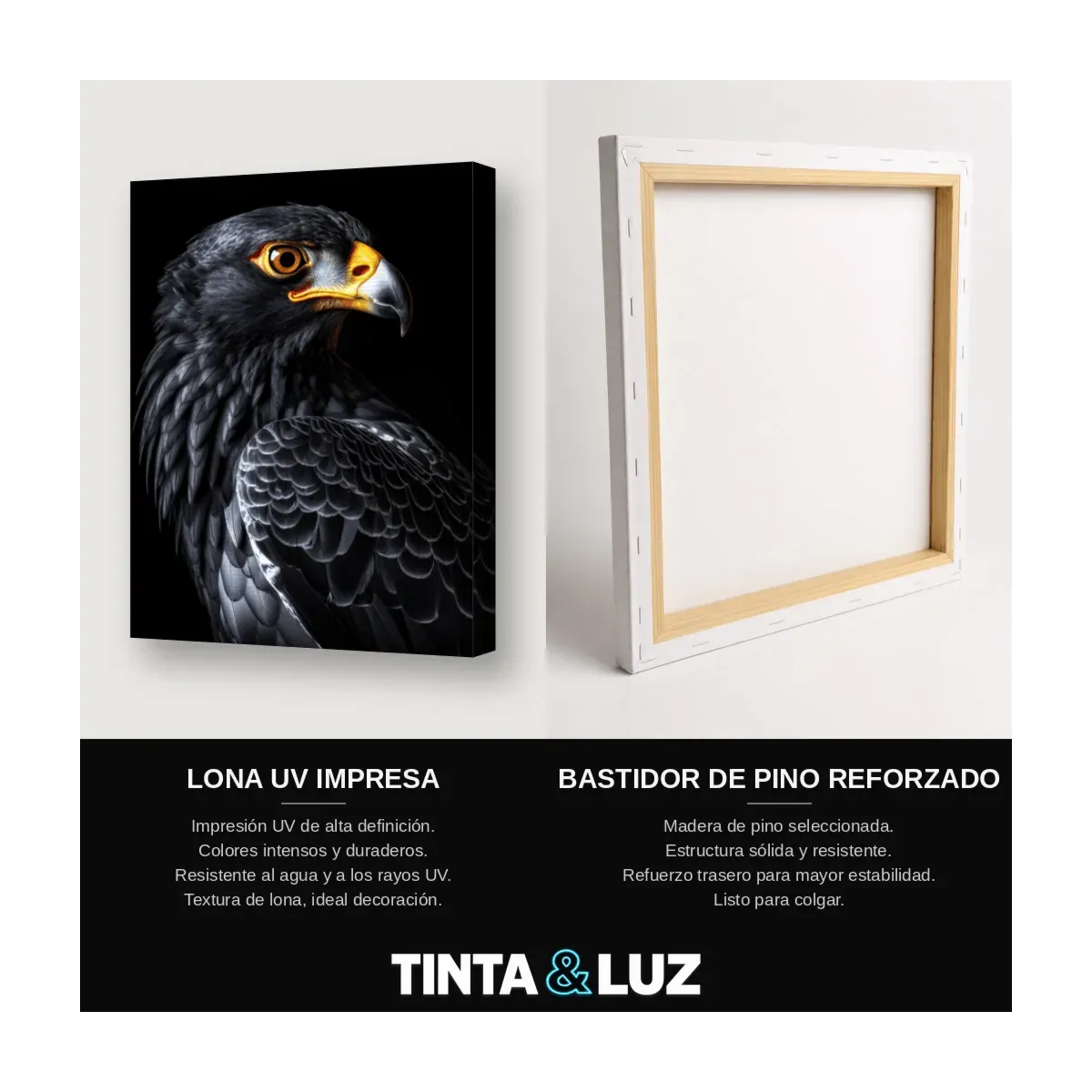ÁGUILA OSCURA