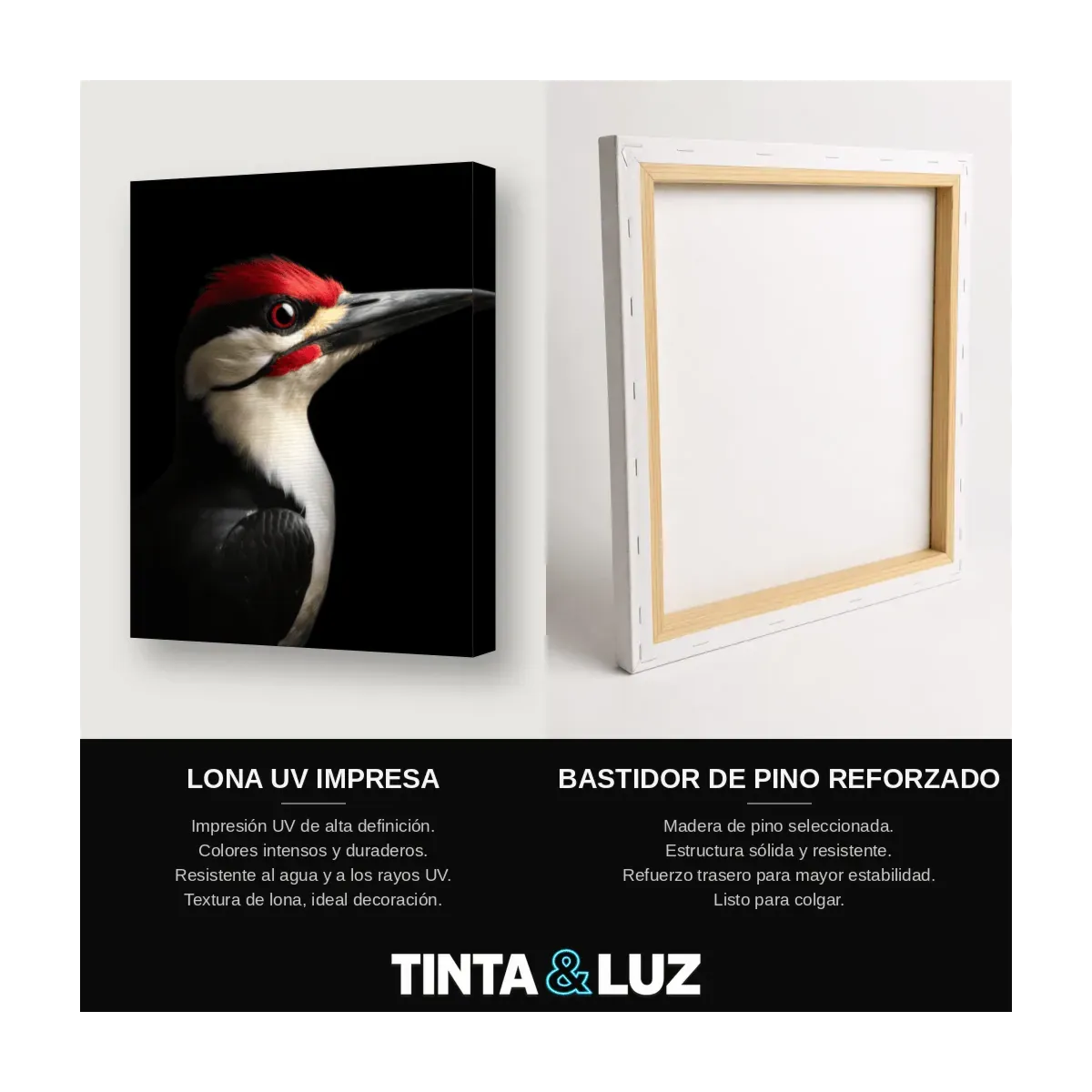 GAVIOTA BLANCA