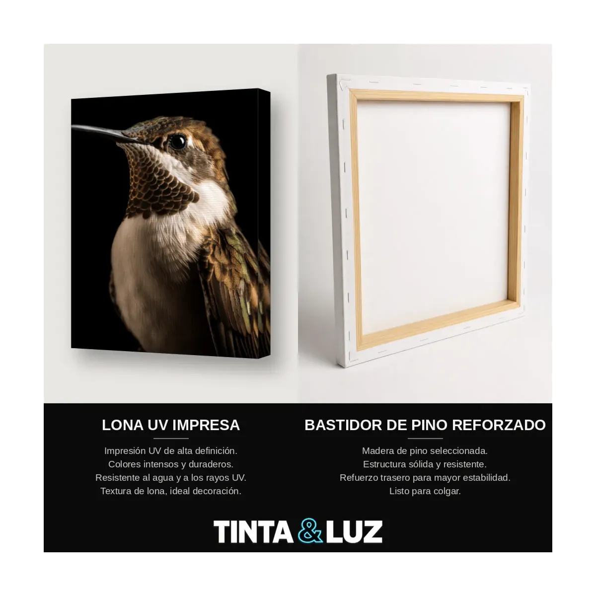 AVES AL ATARDECER