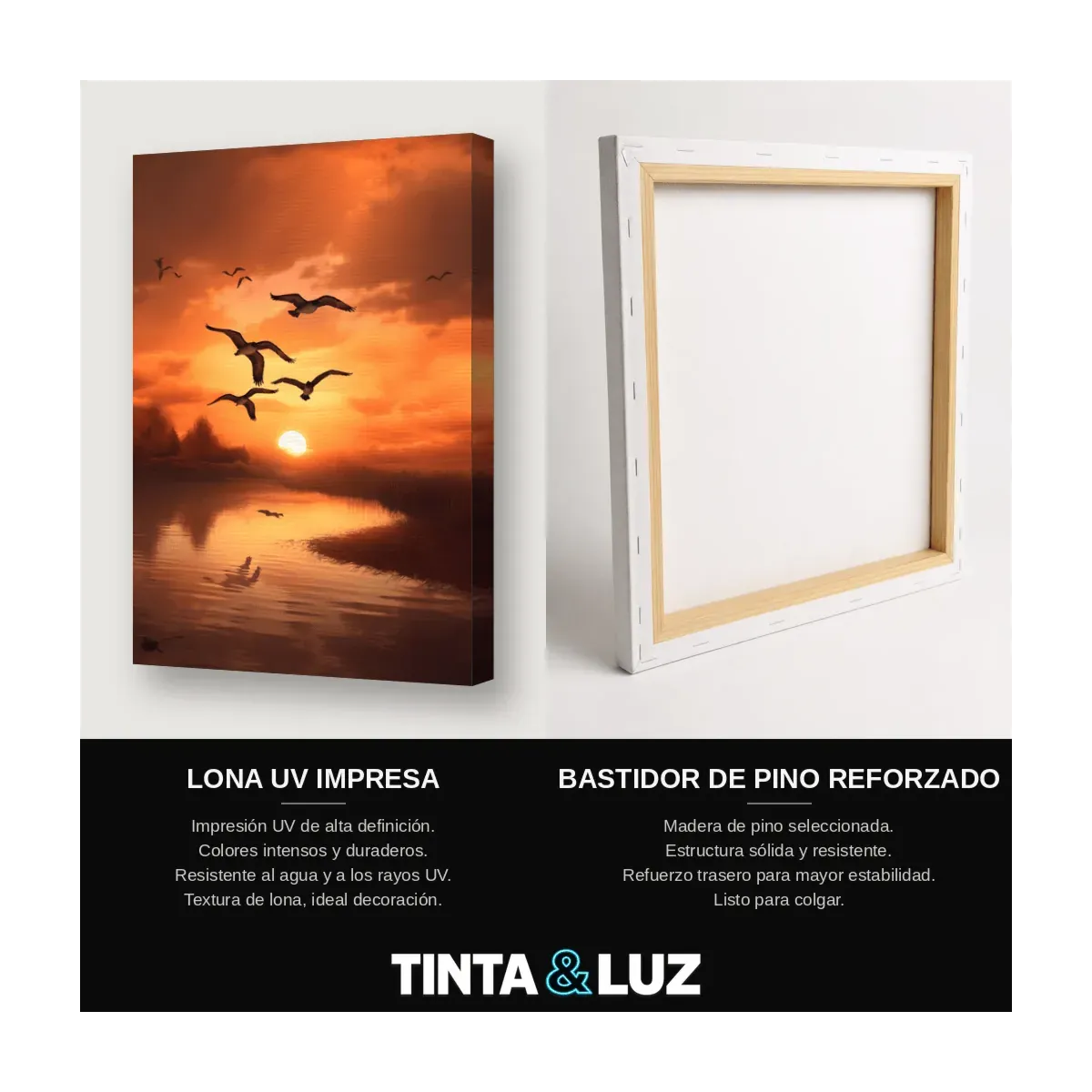 AVES AL OCASO