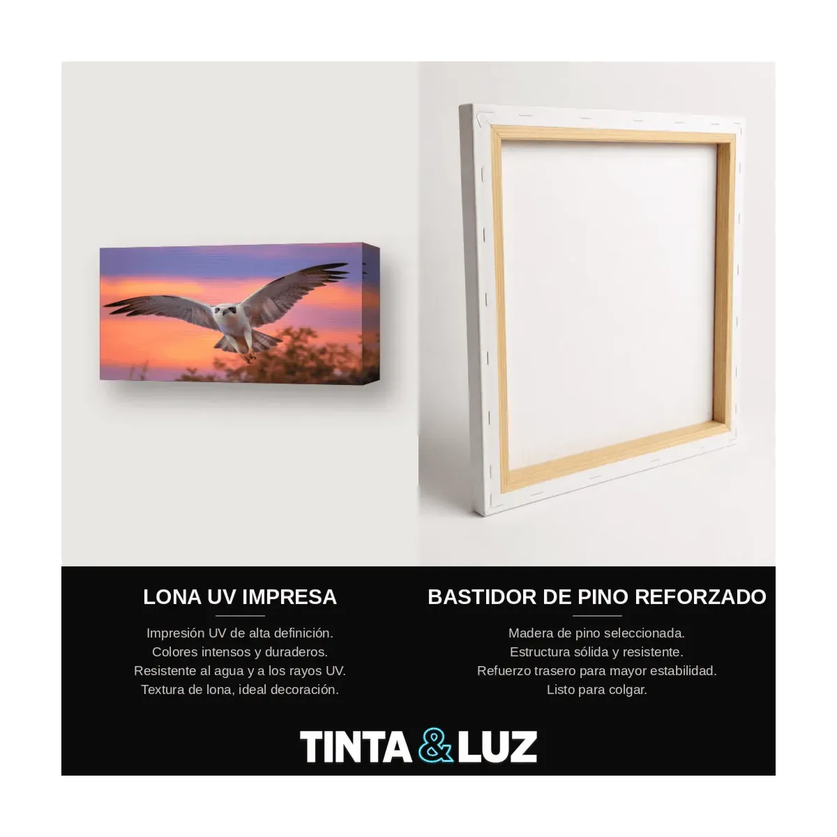 LECHUZA EN VUELO