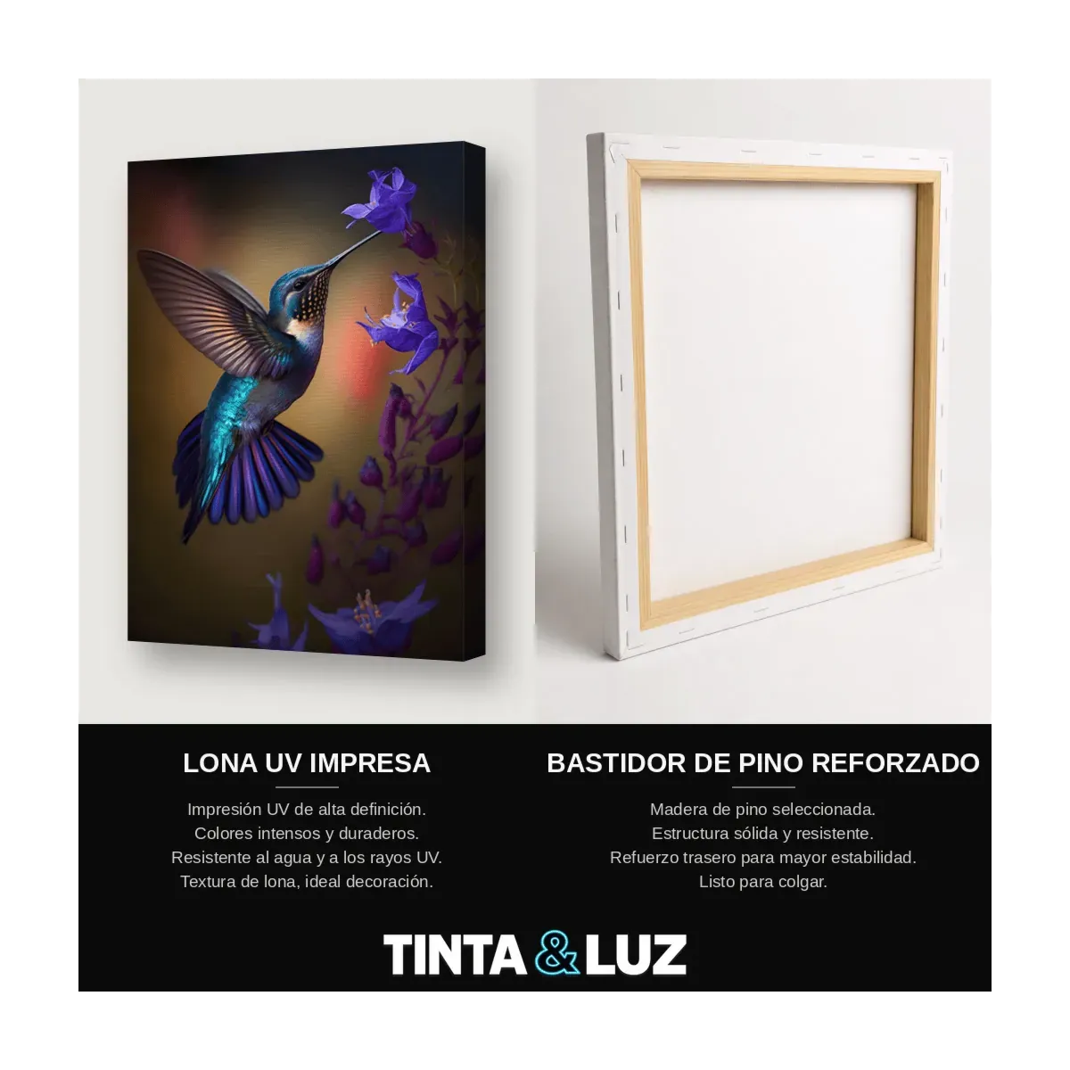 COLIBRÍ AZUL
