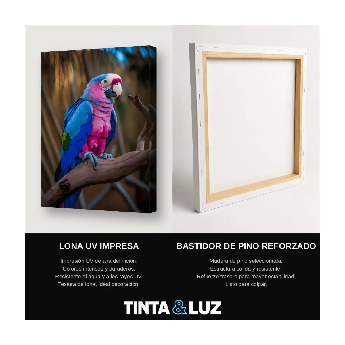 GUACAMAYO ROSA