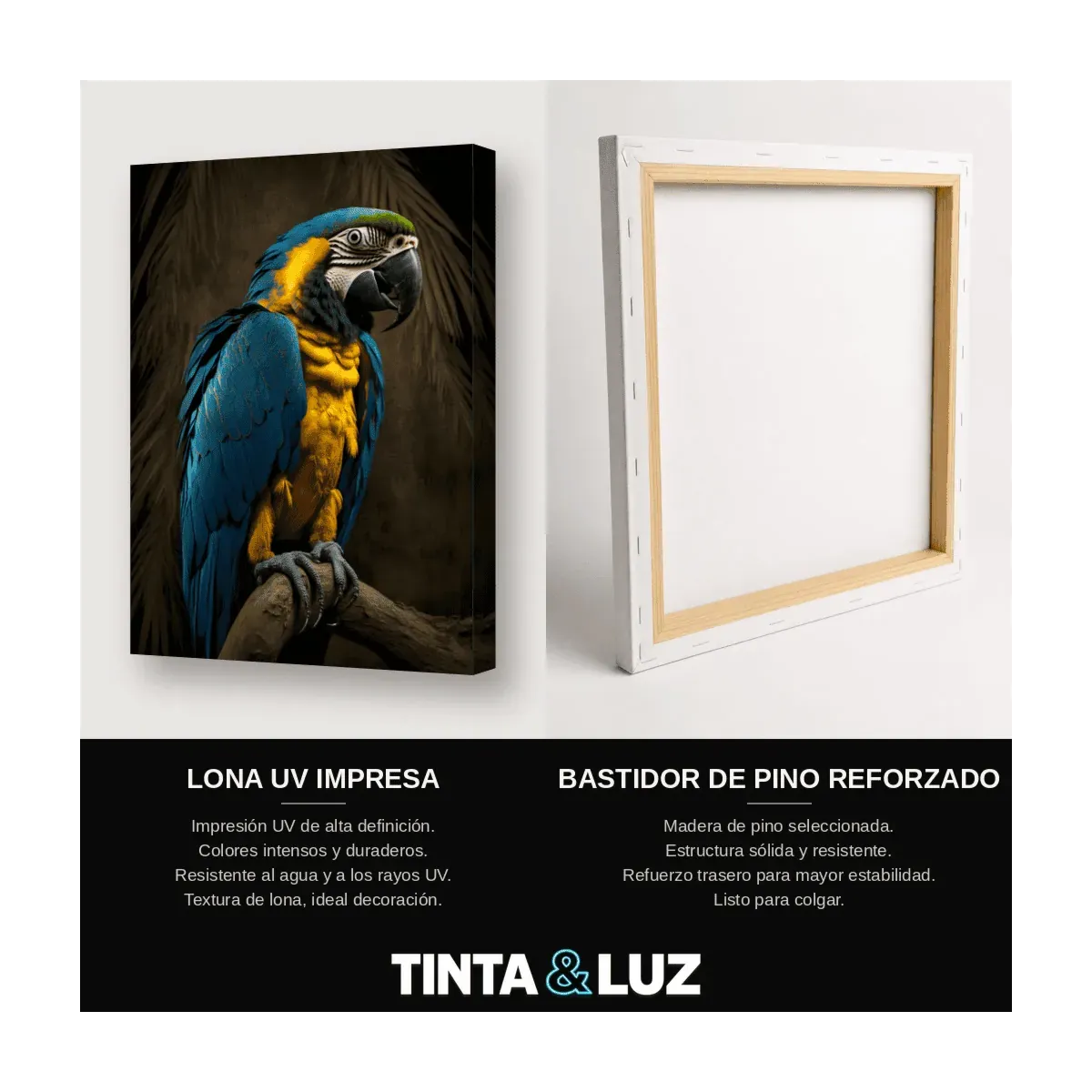 GUACAMAYO AZUL II
