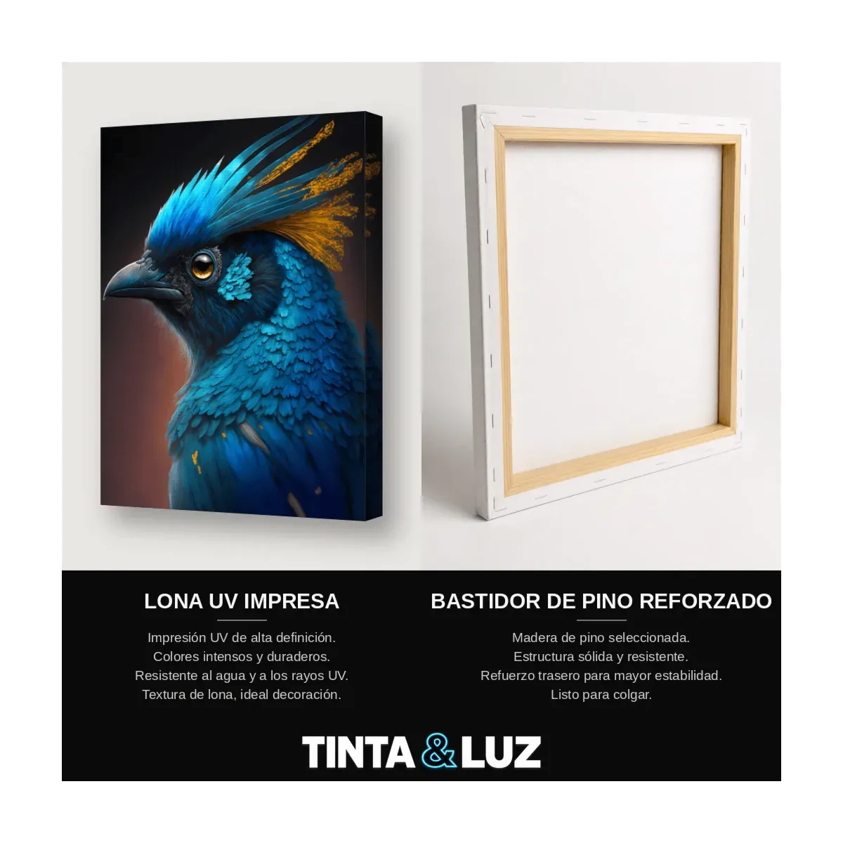 AVE AZUL EXÓTICA
