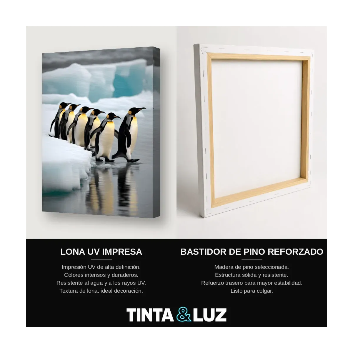 PINGÜINOS EN FILA