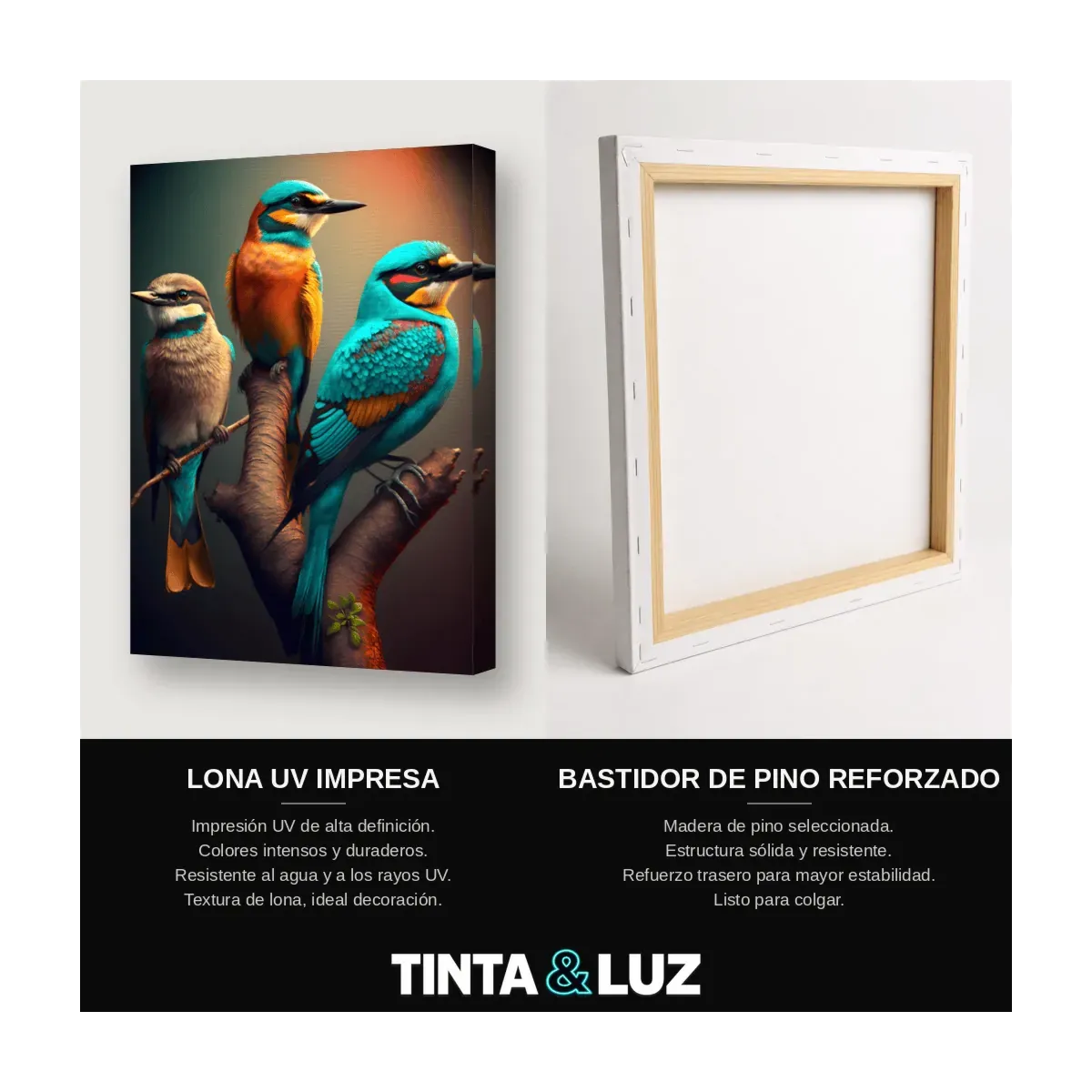 AVES TROPICALES