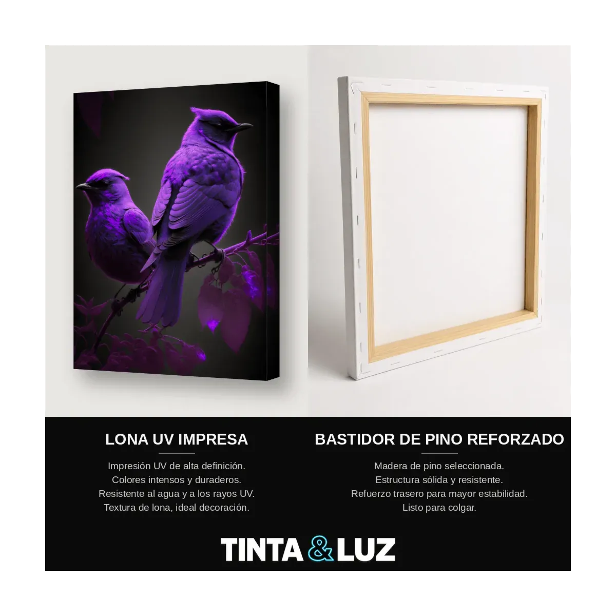 AVES VIOLETAS II